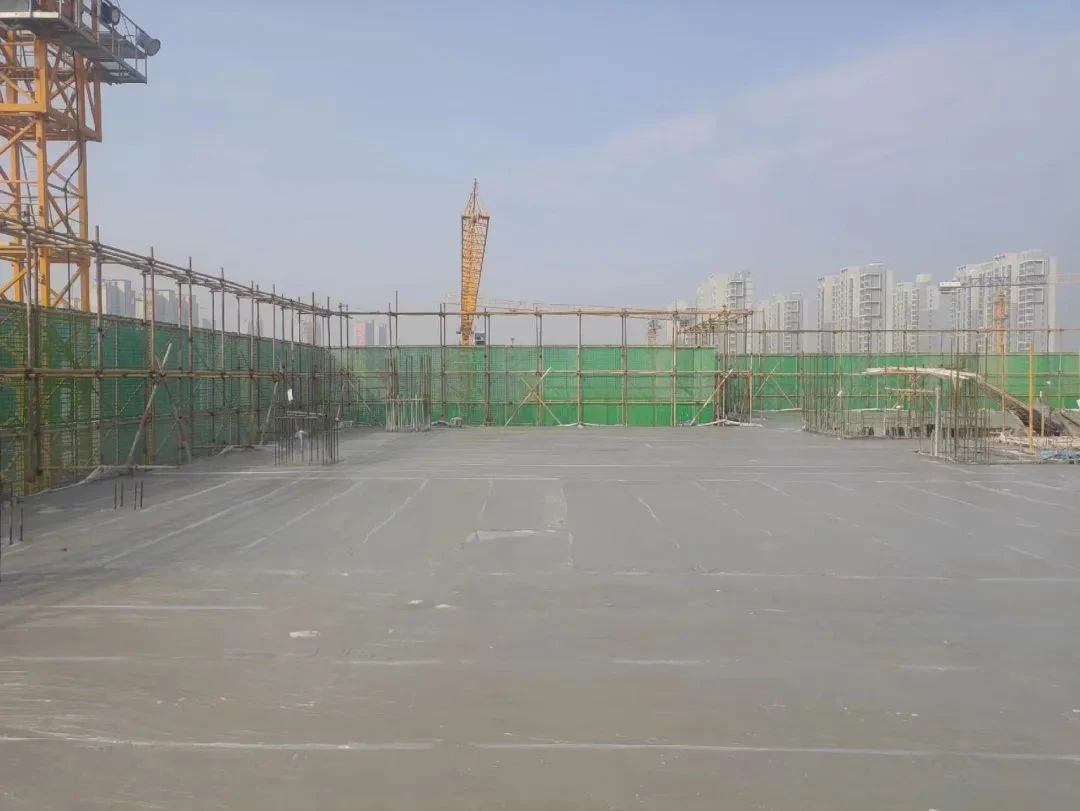 图片13.png 图片13.png