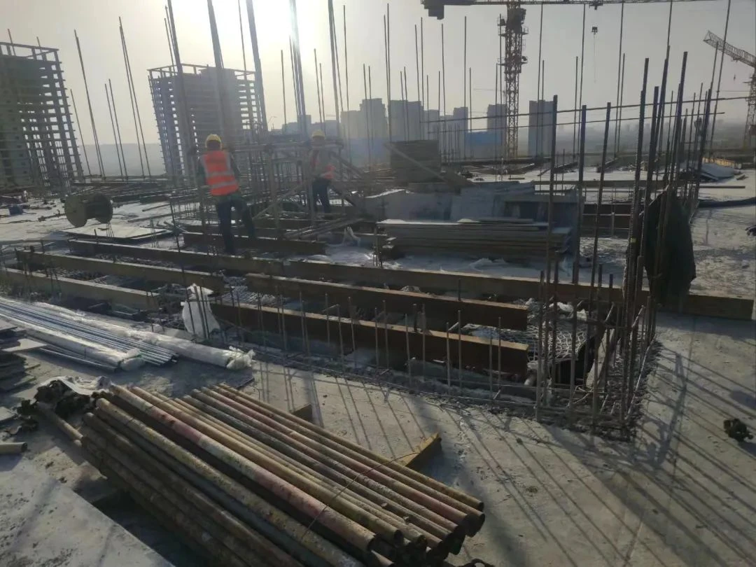 图片14.png 图片14.png