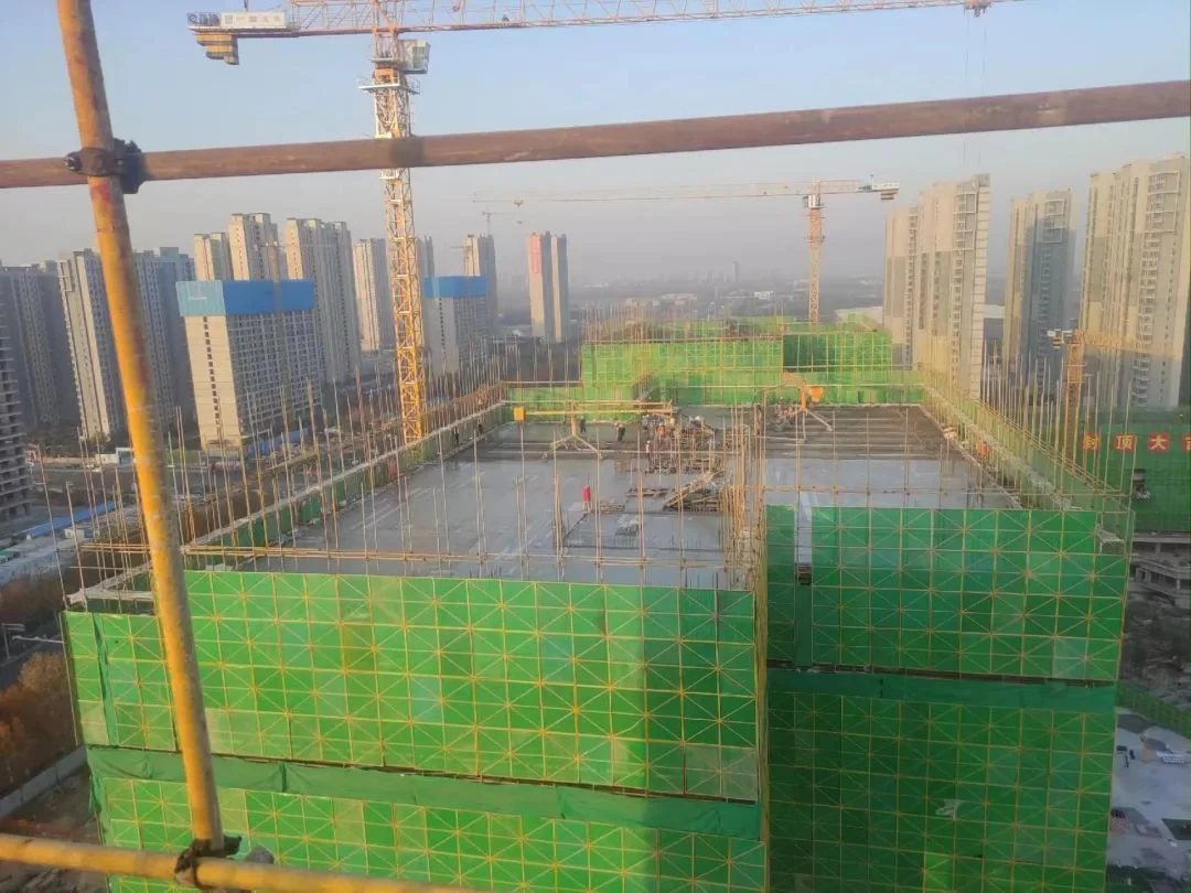 图片12.png 图片12.png