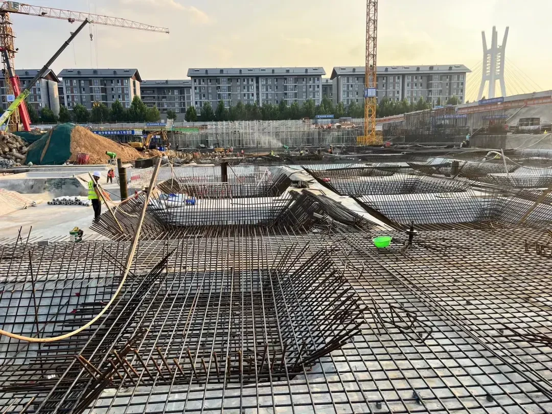 图片10.png 图片10.png